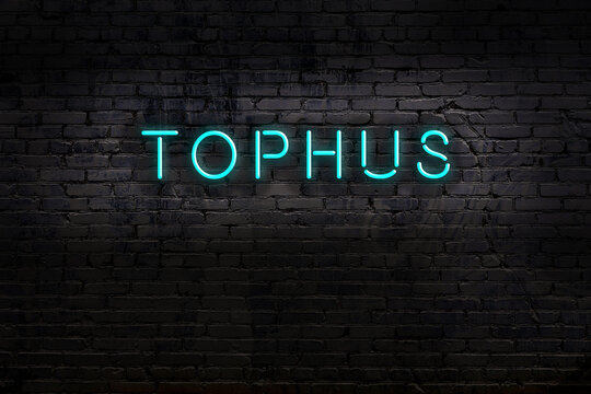 Neon sign. Word tophus against brick wall. Night view