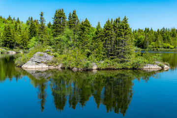 Small Island In A Small Lake