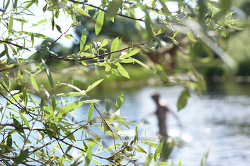 Natural landscape with a branch in the river and a man bathing in the water in the background.
