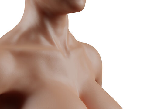 Female neck and cleavage closeup