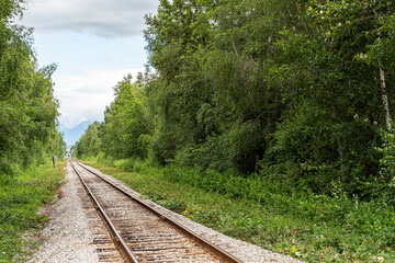 a rail road right across the forested area with dense green trees and bushes on both sides under cloudy sky
