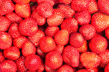 Lots of strawberry view from above, use as background or texture