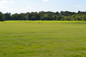 golf course in summer