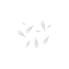 Feather background