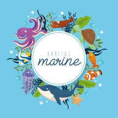 habitat marine, animals in ocean, seaworld dwellers, cute underwater creatures, undersea fauna vector illustration design
