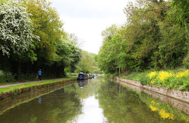 Fototapeta na wymiar Beautiful canal in United Kingdom, featuring trees, water and boats