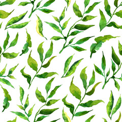 Seamless pattern with stylized leaves. Floral endless pattern filled with green leaves. Fresh greenery background, wallpaper, textile print.Watercolor hand drawn illustration on a white background.