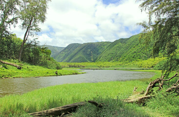 Pololu Valley, Big Island, Hawaii. The view on the green lush valley and calm river. Tropical summer.