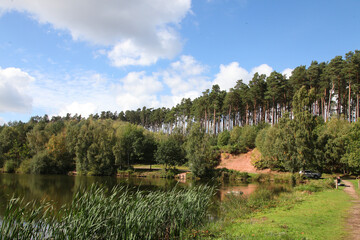 Cannock Chase, Staffordshire, United Kingdom, an area of Outstanding Natural Beauty, featuring forests, paths and lakes