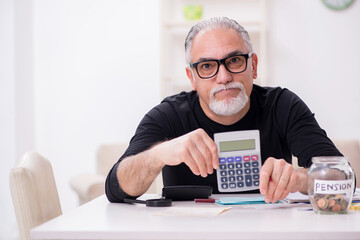 Old male retired in budget planning concept