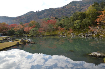 Fototapeta premium 紅葉の京都