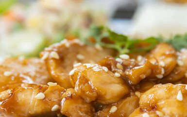Fried Chicken with Garlic and Pepper in Dish with Natural Light in Zoom View