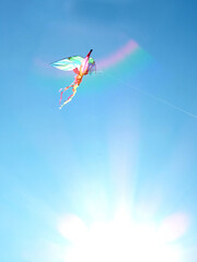 blue sky and a flying kite and copy spase