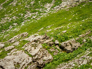 Panoramic hike at the Nebelhorn in Allgau