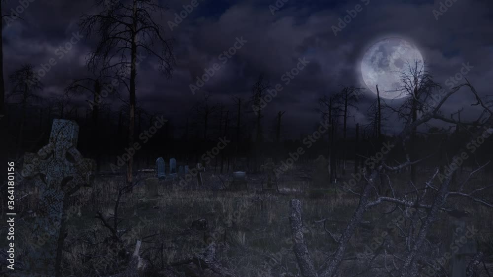 Wall mural old graveyard in burned out forest 4k loop features a view of an old cemetery surrounded by burned t
