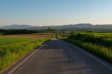 春の美瑛町の風景