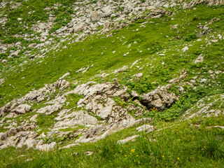 Panoramic hike at the Nebelhorn in Allgau
