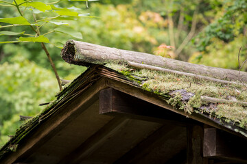 風情のある屋根