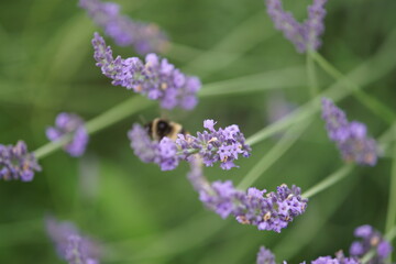 I feel fall in the air