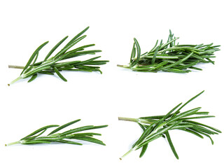 Fototapeta premium kolekcja mix zestaw Rosemary na białym tle