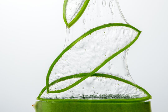 aloe vera leaves slice and aloe vera gel.