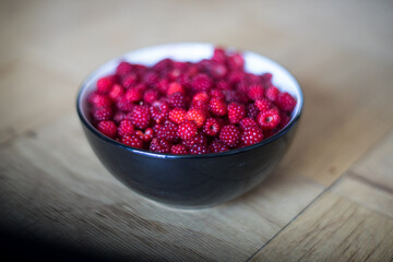 Rubus phoenicolasius is an Asian species of raspberry in the rose family