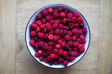 Rubus phoenicolasius is an Asian species of raspberry in the rose family