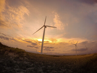 Obraz premium Beautiful sunset at the wind power plant in Brazil