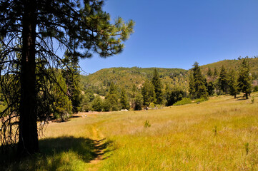 View over Palomar Mountain National Park