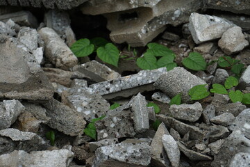 Pile of broken rubble with gray concrete blocks background 2
灰色のコンクリートブロックが崩れた瓦礫の山 背景