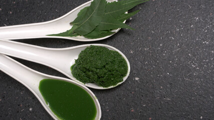 Medicinal Ayurvedic Azadirachta indica or Neem leaves with pestle with neem paste, juice and twigs.