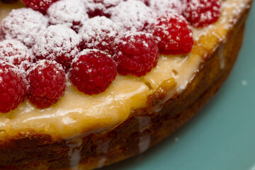 Homemade Cheesecake with Fresh Raspberries and Currants - Healthy Organic Summer Dessert Cheesecake Pie. Vanilla Cheese Cake with Wild Berry