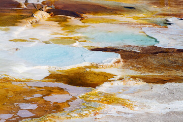 Fototapeta na wymiar Main Terrace at Mammoth Hot Springs in Yellowstone National Park