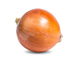 onion isolated on white background