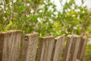 Fototapeta premium Wooden rustic fence in village near the house near the forest. Sunlight, old wood.