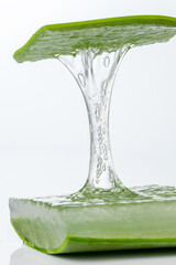 cut off aloe vera leaves and see juice sticky on white background.