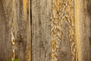 Wooden rustic fence in village near the house near the forest. Sunlight, old wood.