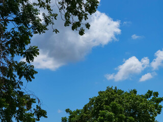Obraz premium Blue sky and cloudy clouds and trees