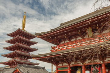 Tokyo has many beautiful and historic public areas expressing the intricate culture and spirit of Japan