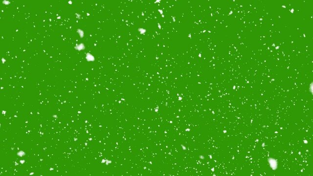 Winter Snow falling snow animation loop Slow motion green screen background