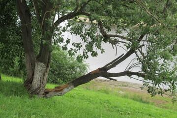 Russia, Vologda City, Center, july 2020 (375)