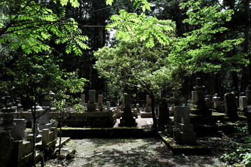Obraz premium 高野山 奥の院 Koyasan Okunoin