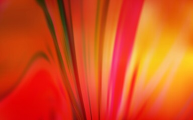 Light Red vector modern elegant layout. A completely new colored illustration in blur style. Smart design for your work.
