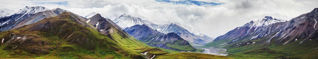 Crédence de cuisine en verre imprimé Denali Mountains in Alaska