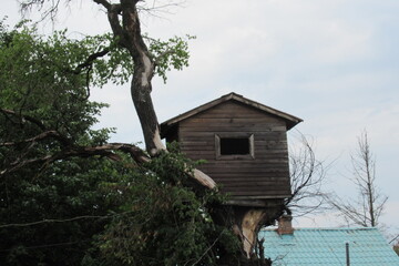 Russia, Vologda City, Center, july 2020 (264)