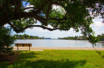 Bench by the lake