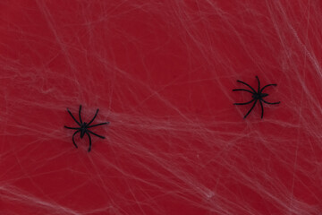 Halloween scary background, decoration. Spiders with spider web on a red background. Arachnophobia