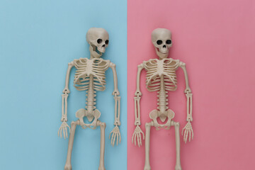 Two Fake skeletons on pink blue pastel background. Halloween decoration, scary theme. Flat lay. Minimalism