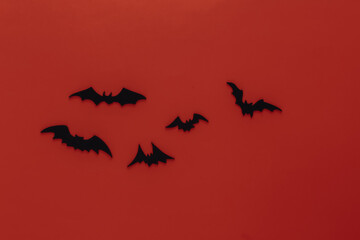 Halloween background, decorations and scary concept. Black bats fly over orange background. Top view