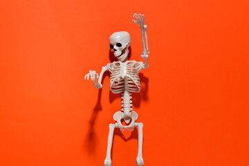 Skeleton on orange bright background. Halloween decoration, scary theme. Flat lay